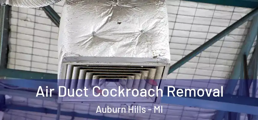  Air Duct Cockroach Removal Auburn Hills - MI