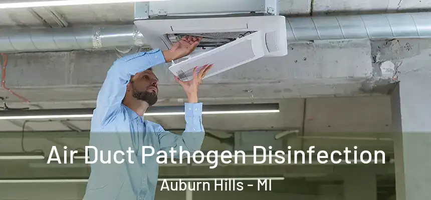 Air Duct Pathogen Disinfection Auburn Hills - MI