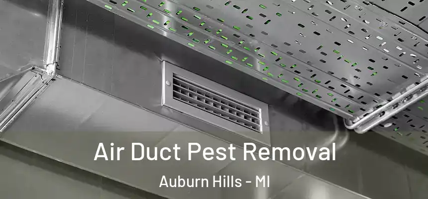 Air Duct Pest Removal Auburn Hills - MI