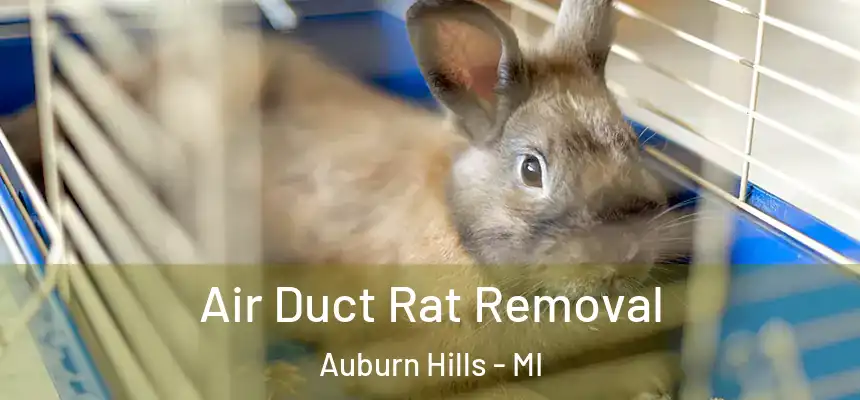 Air Duct Rat Removal Auburn Hills - MI