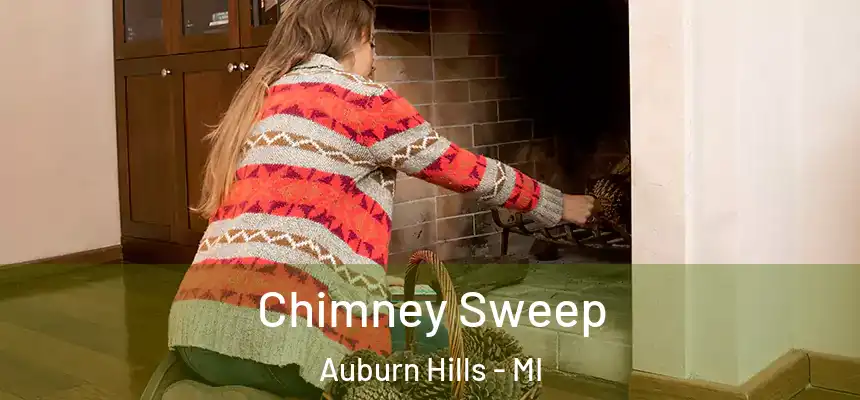  Chimney Sweep Auburn Hills - MI