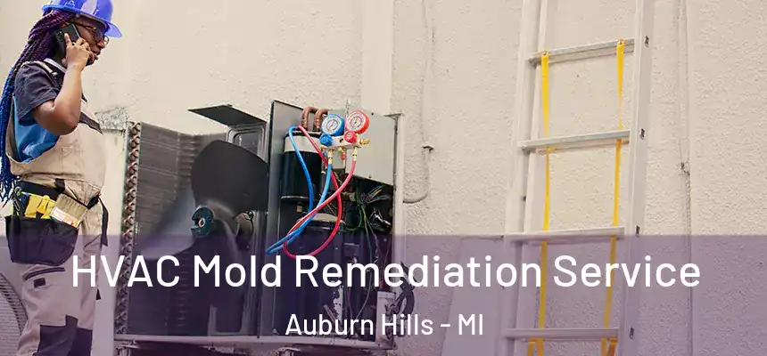  HVAC Mold Remediation Service Auburn Hills - MI