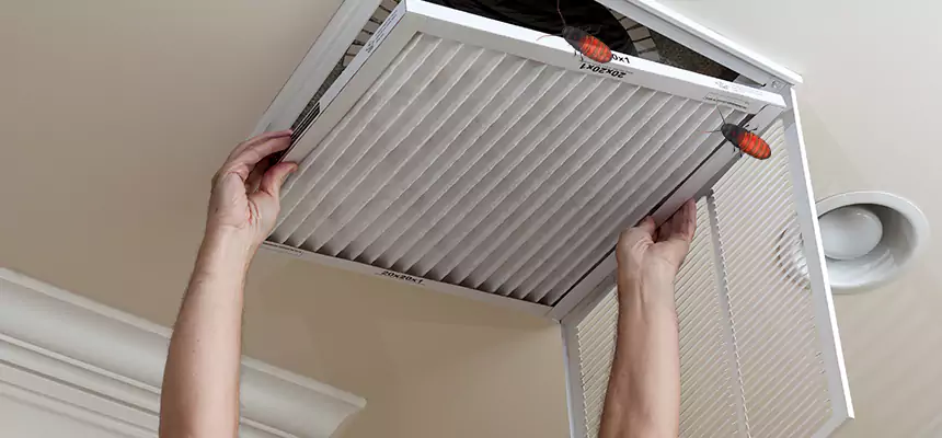 Preventive Cockroach-Proofing for Ducts in Auburn Hills