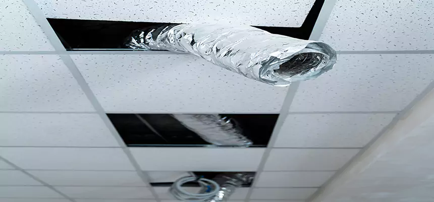 Our Air Duct Pet Hair Removal Services in Auburn Hills, MI