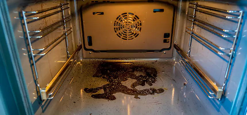 Our Dryer Vent Mold Cleaning Services in Auburn Hills, MI