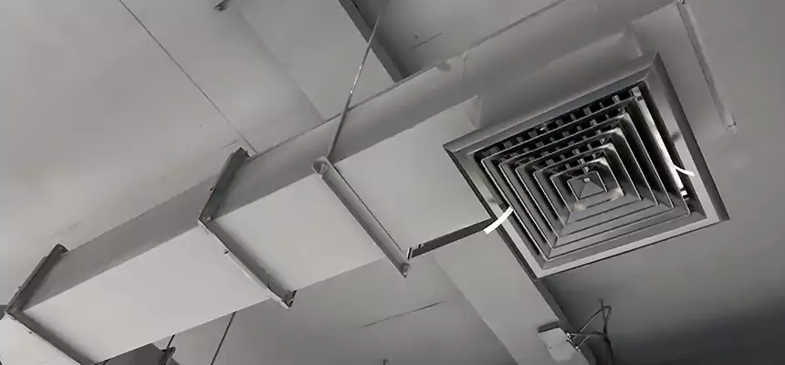 Our Rodent Droppings In Vents Services in Auburn Hills, MI