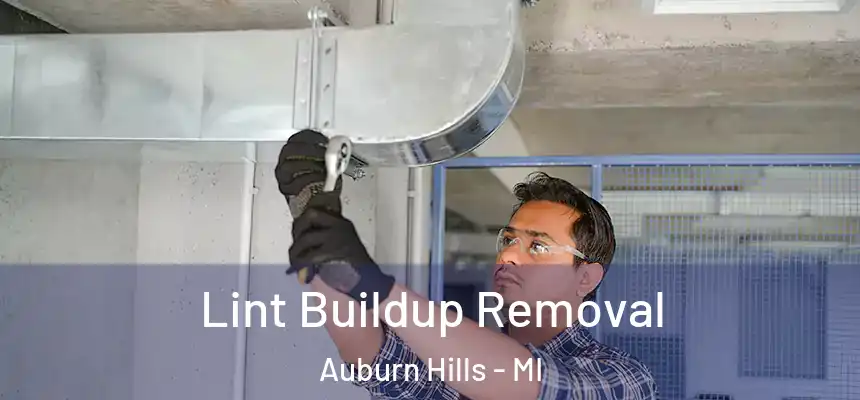  Lint Buildup Removal Auburn Hills - MI
