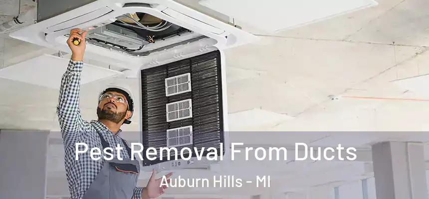 Pest Removal From Ducts Auburn Hills - MI