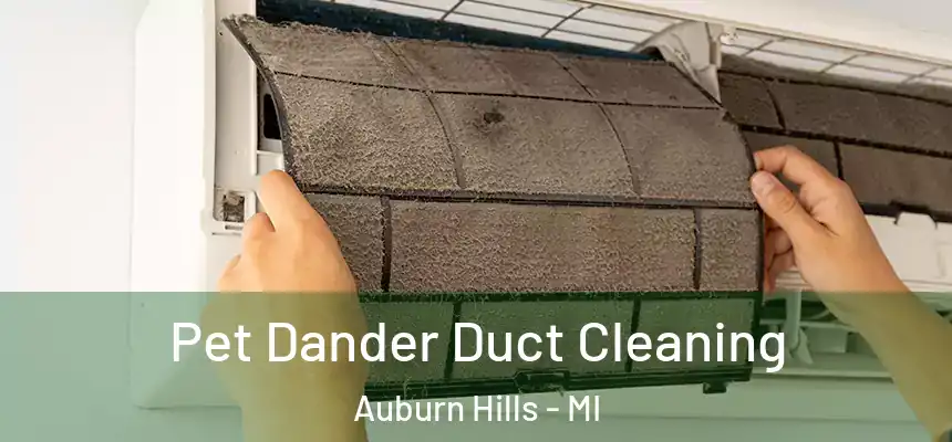 Pet Dander Duct Cleaning Auburn Hills - MI