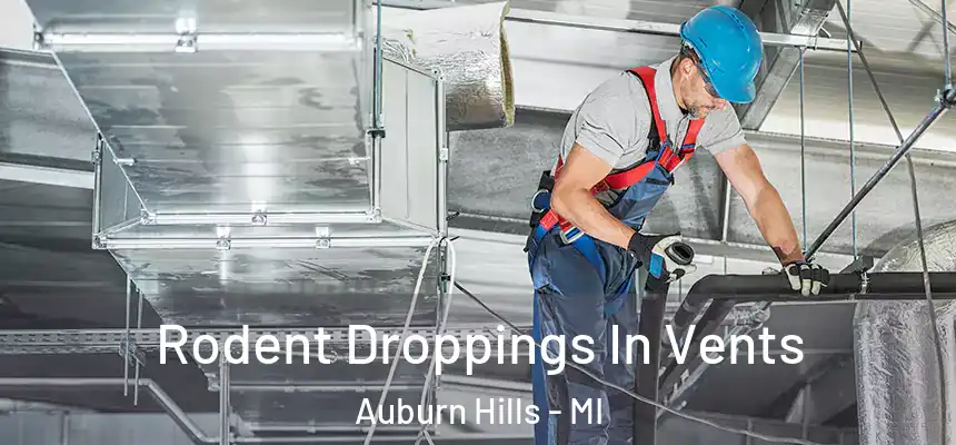  Rodent Droppings In Vents Auburn Hills - MI