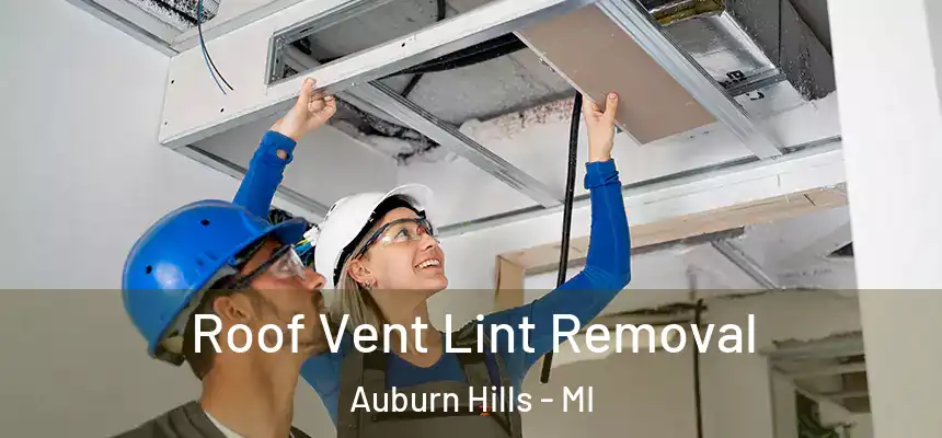  Roof Vent Lint Removal Auburn Hills - MI