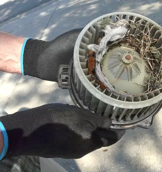 About Air Duct Rat Removal in Auburn Hills, MI