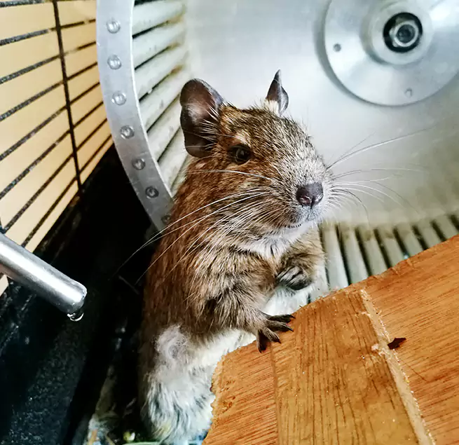 Why Homeowners & Businesses Trust Us Auburn Hills, MI